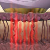 The One - Anti-Aging Medical Device - Image 2